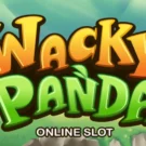 Wacky Panda