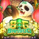 Big Bamboo