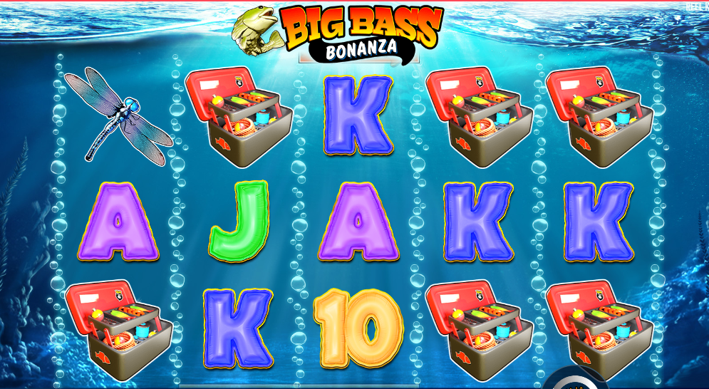 Slots de 5 Rodillos